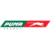 small-puma-logo